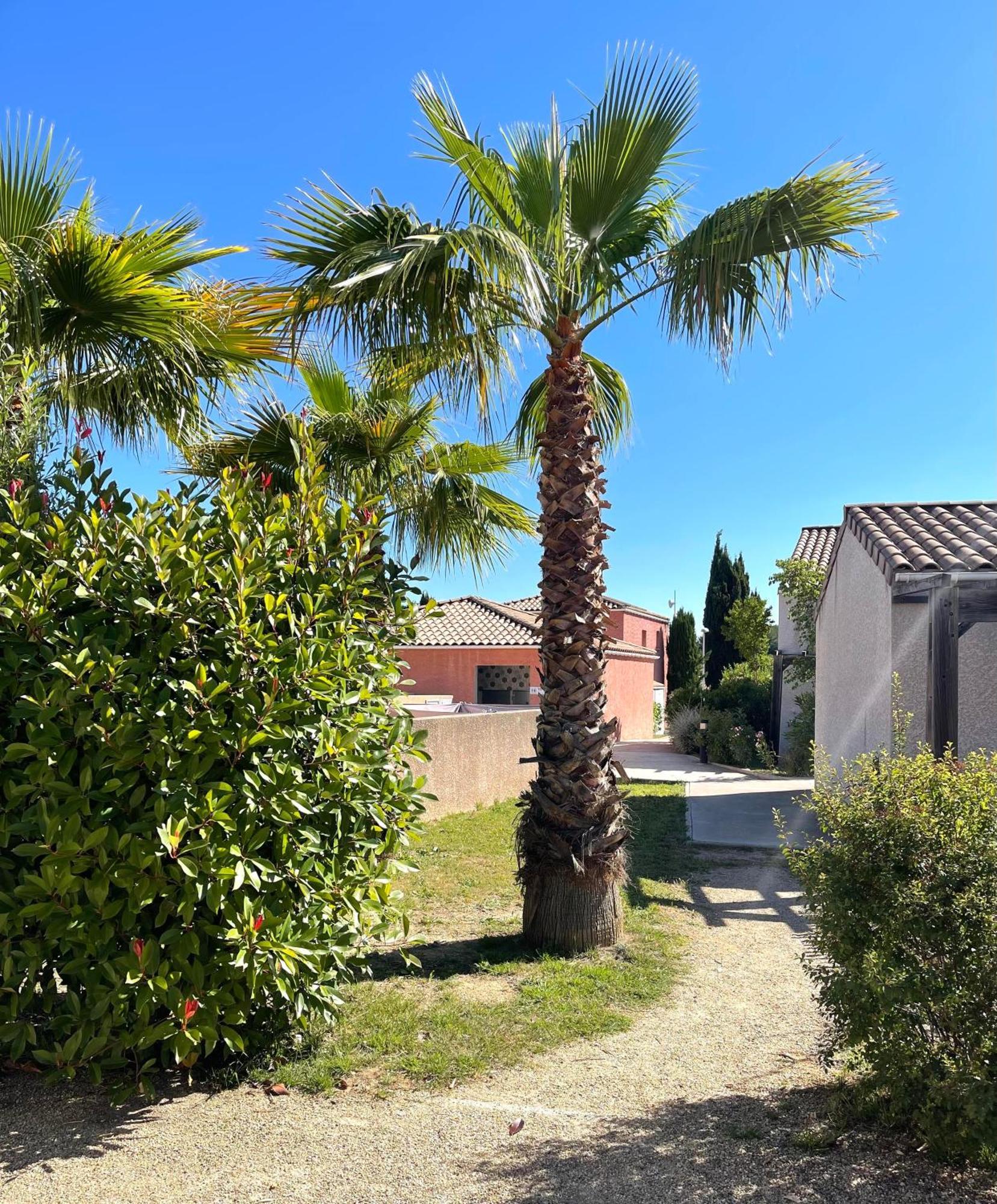 Hotel Terres De France - Le Domaine De Bacchus Saint-Christol  Esterno foto